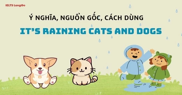 Giải mã Idiom It’s raining cats and dogs: Ý nghĩa và cách dùng