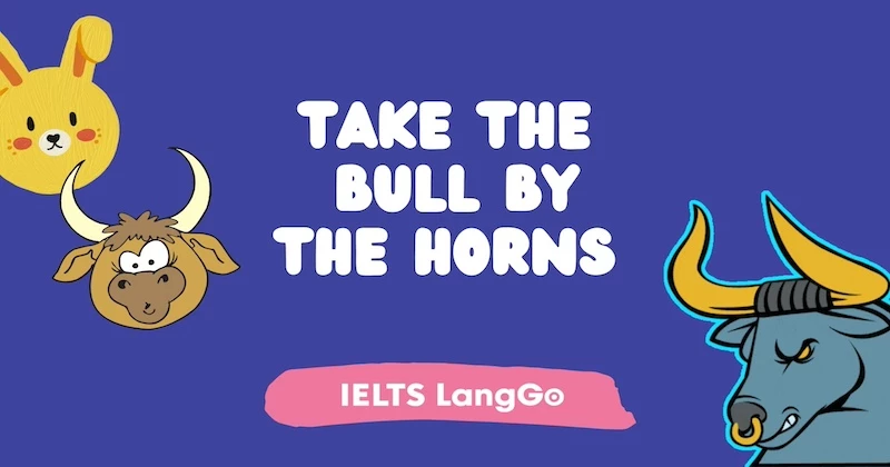 Take the bull by the horns - Ý nghĩa, cách dùng, idiom đồng nghĩa