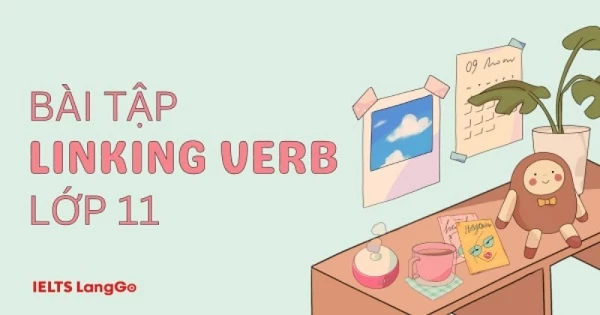 Bài tập Linking verb lớp 11 và 3 lỗi sai cần tránh khi làm bài