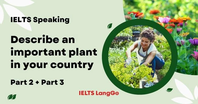 Giải đề Describe an important plant in your country IELTS Speaking