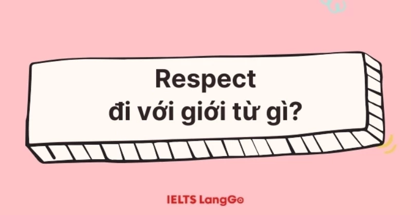 Respect đi với giới từ gì? Cấu trúc và cách dùng chi tiết với Respect