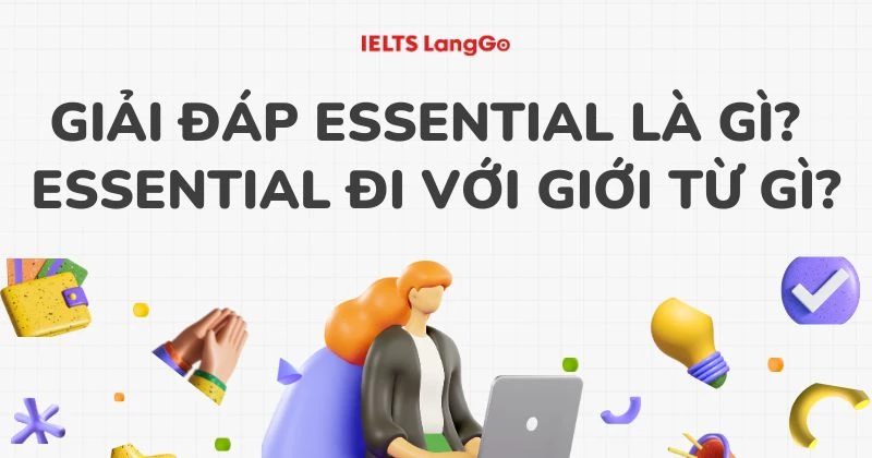 Essential đi với giới từ gì? Cấu trúc, cách dùng kèm ví dụ cụ thể