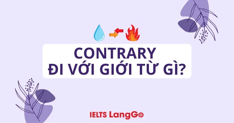 Contrary đi với giới từ gì? Cấu trúc Contrary và cách dùng cụ thể