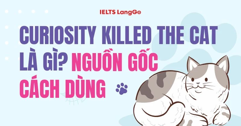 Curiosity killed the cat là gì? Nguồn gốc và cách dùng chính xác