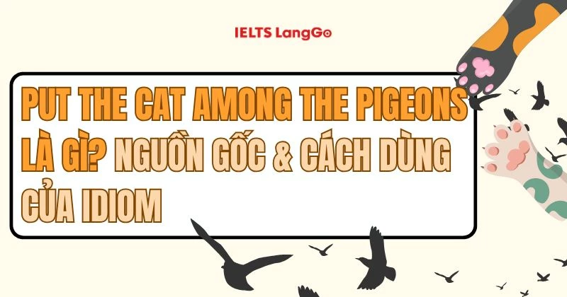 Put the cat among the pigeons: Ý nghĩa, nguồn gốc và cách dùng