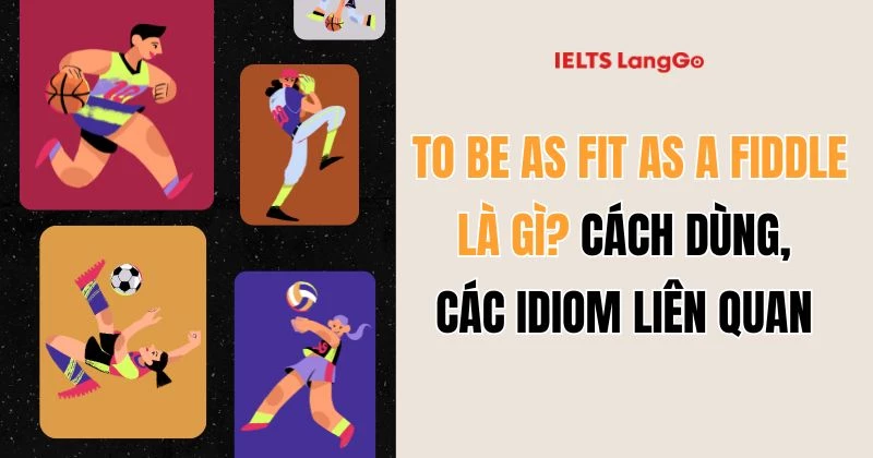 To be as fit as a fiddle là gì? Nguồn gốc, cách dùng, từ đồng nghĩa