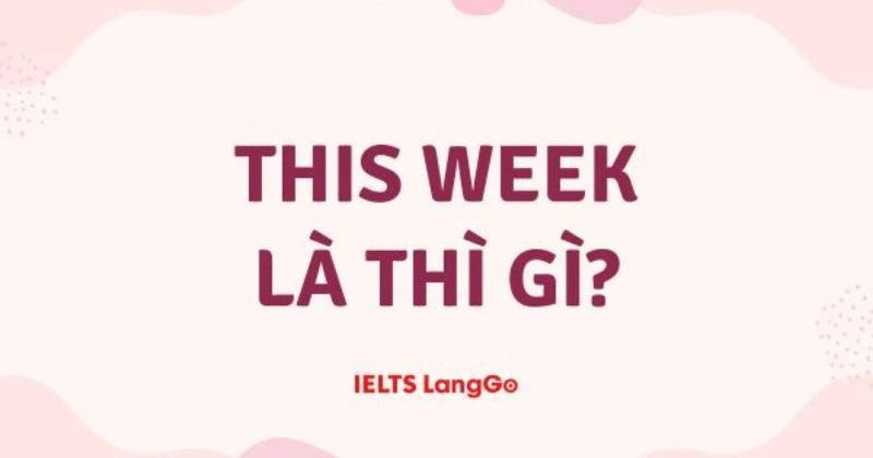 This week là thì gì? Cách dùng và các cụm từ đồng nghĩa với This week