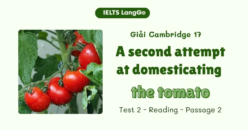 Giải đề Cambridge 17, Test 2, Reading passage 2: A second attempt at domesticating the tomato