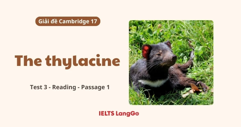 Giải đề Cambridge 17, Test 3, Reading passage 1: The thylacine