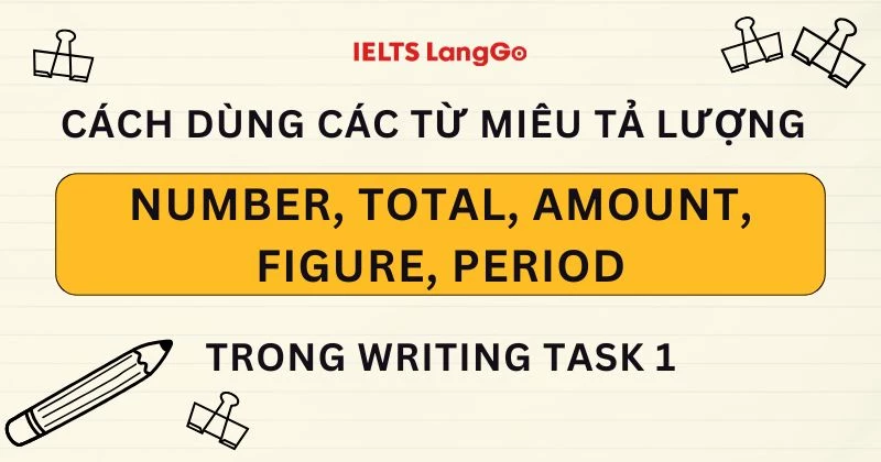 Cách dùng các từ miêu tả lượng Number, Total, Amount, Figure, Period