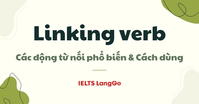 Linking Verb (động từ nối): Các động từ phổ biến & Cách dùng chi tiết