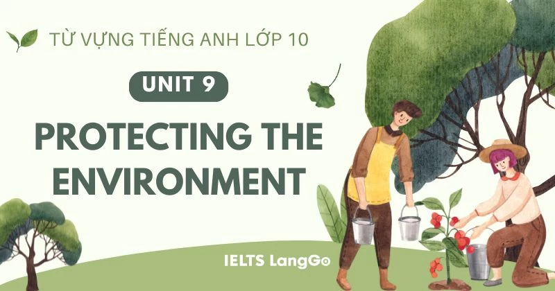 Từ vựng Unit 9 lớp 10 Global Success chủ đề Protecting the environment