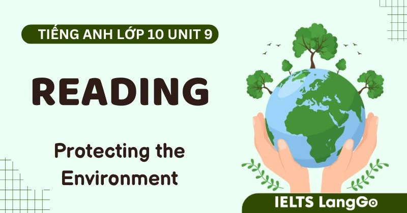 Đáp án phần Reading Unit 9 Lớp 10 sách Global Success chi tiết