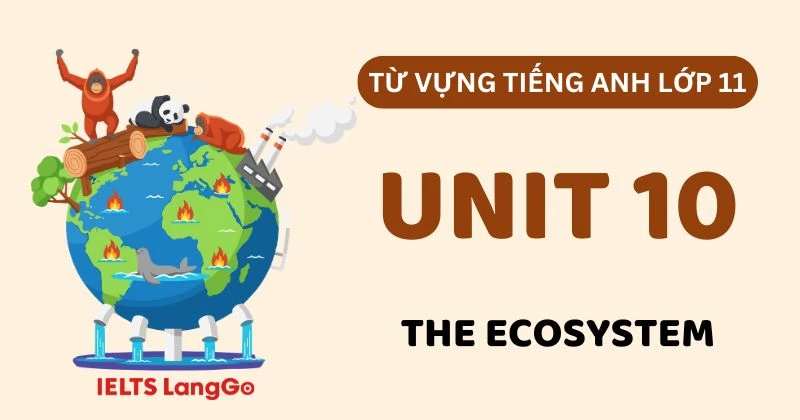 Tổng hợp Từ vựng Unit 10 lớp 11 Global Success chủ đề The Ecosystem