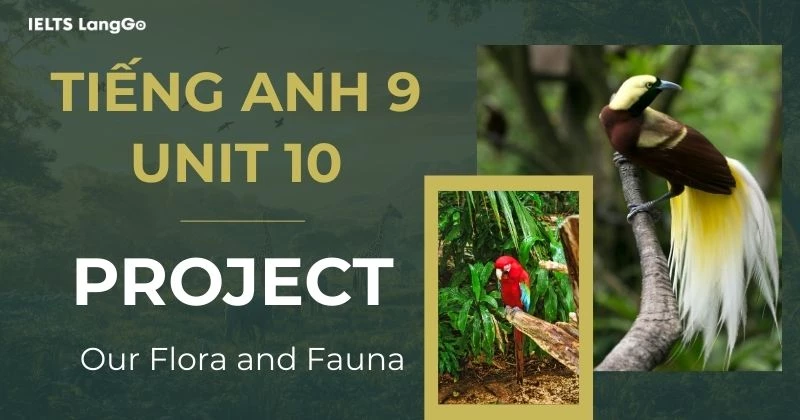 Tiếng Anh lớp 9 Unit 10 Project Global Success: Hướng dẫn & Bài mẫu