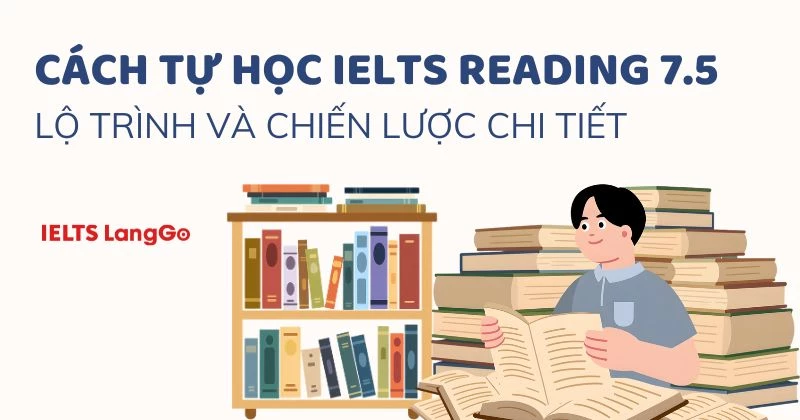 Cách tự học IELTS Reading 7.5: Lộ trình và chiến lược chi tiết