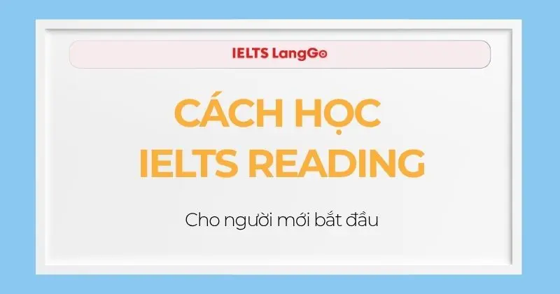 Cách học IELTS Reading cho người mới bắt đầu: Lộ trình chi tiết