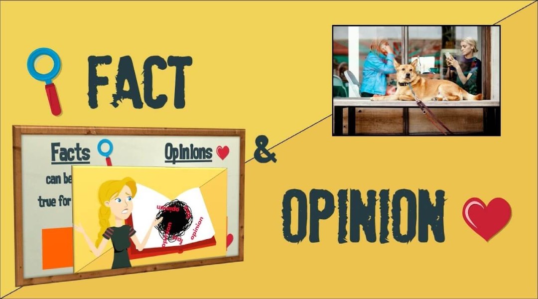 Fact vs opinion adjective là gì? Nắm chắc cách dùng 2 loại tính từ