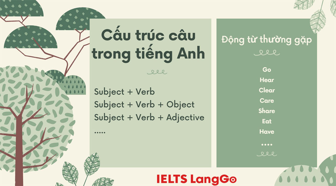 Cấu trúc câu trong tiếng Anh và các động từ thường gặp