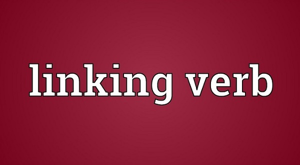 Linking Verb và tầm quan trọng của động từ nối trong tiếng Anh