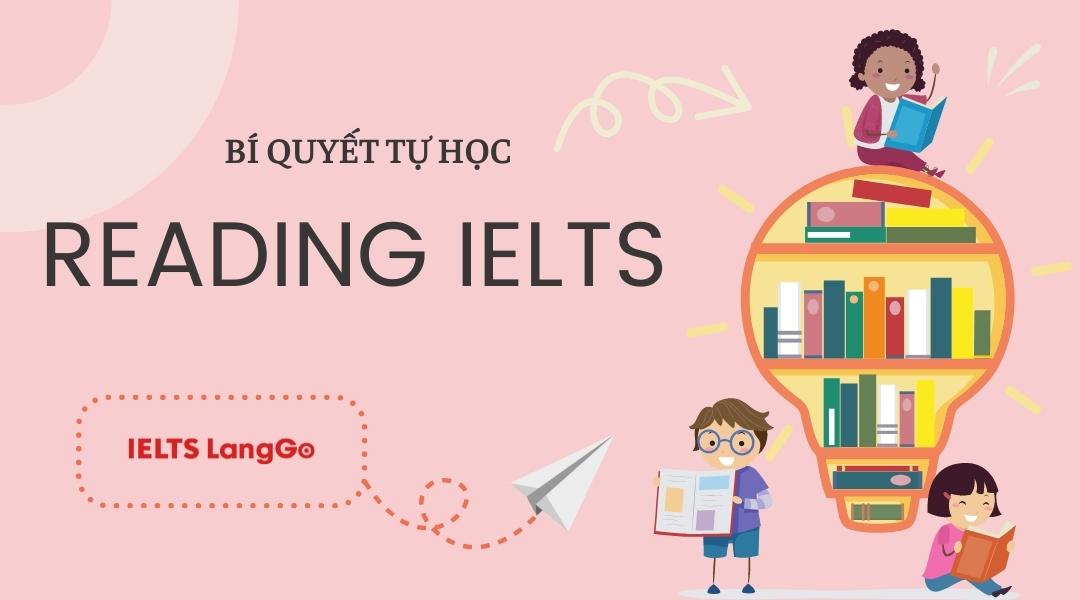 Hướng dẫn tự học Reading IELTS hiệu quả cho người mất gốc