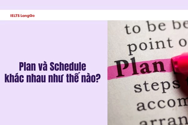 Phân biệt cách dùng Plan và Schedule trong Tiếng Anh