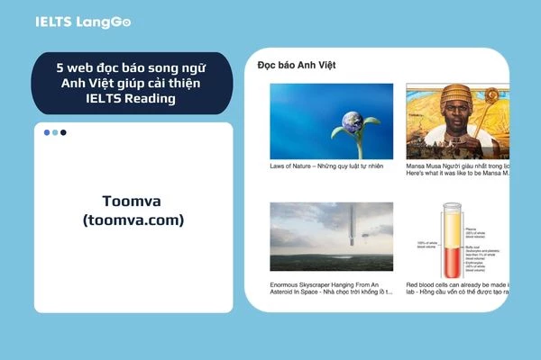 Toomva có nội dung đa dạng và cung cấp kiến thức từ vựng, ngữ pháp