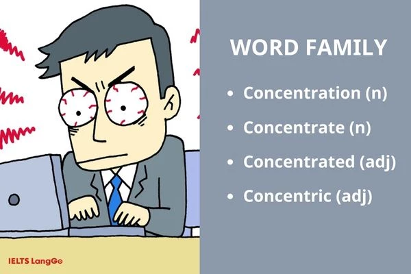 Một số word family của Concentrate