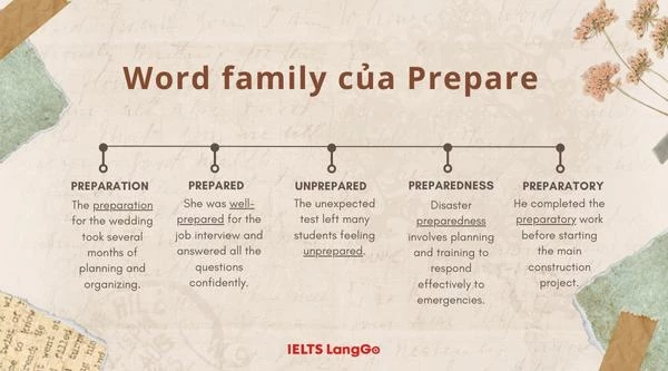 Word family của động từ Prepare