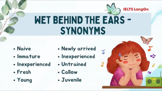 Từ đồng nghĩa với Wet behind the ears
