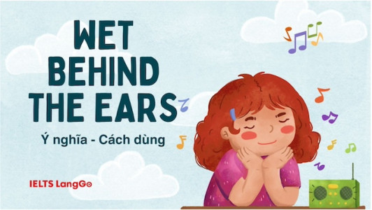 Wet behind the ears - Nguồn gốc thú vị đằng sau thành ngữ này là gì?