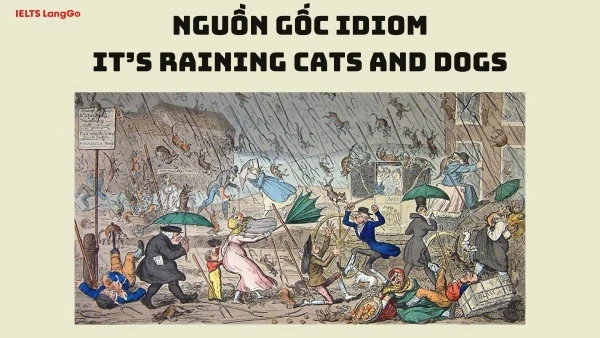 Nguồn gốc It’s raining cats and dogs idiom