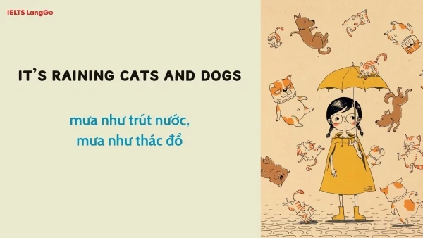 It is raining cats and dogs meaning là gì?