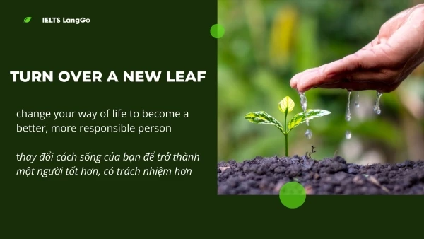 Turn over a new leaf nghĩa là gì?