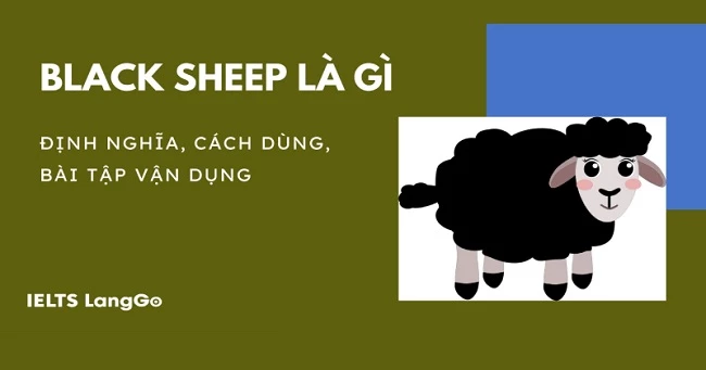 Black sheep là thành ngữ thông dụng trong tiếng Anh