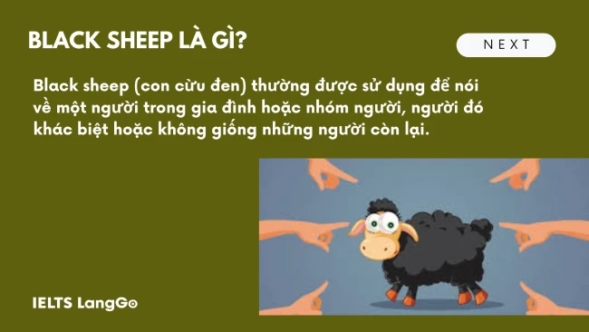 Black sheep nghĩa là gì? Cách dùng Black sheep idiom