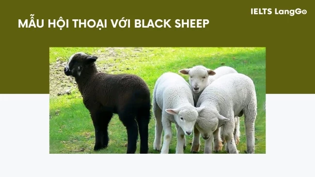 Mẫu hội thoại với The black sheep of the family