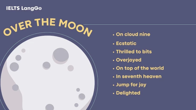 Các từ và cụm từ đồng nghĩa với Over the moon