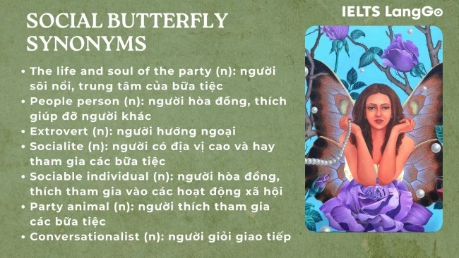 Các cụm từ đồng nghĩa với Social butterfly
