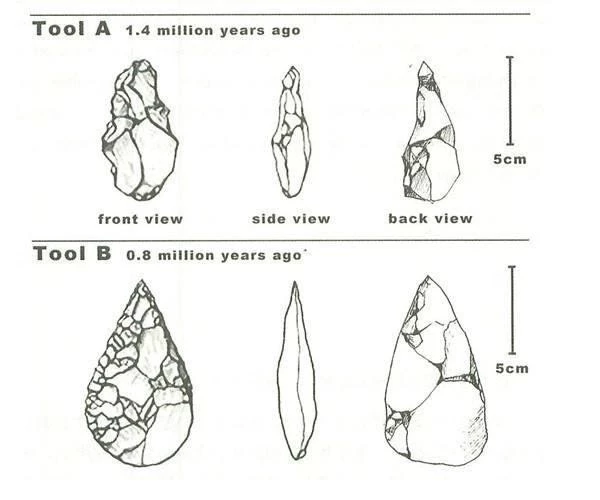 Đề bài The development of cutting tools in the Stone Age Writing Task 1
