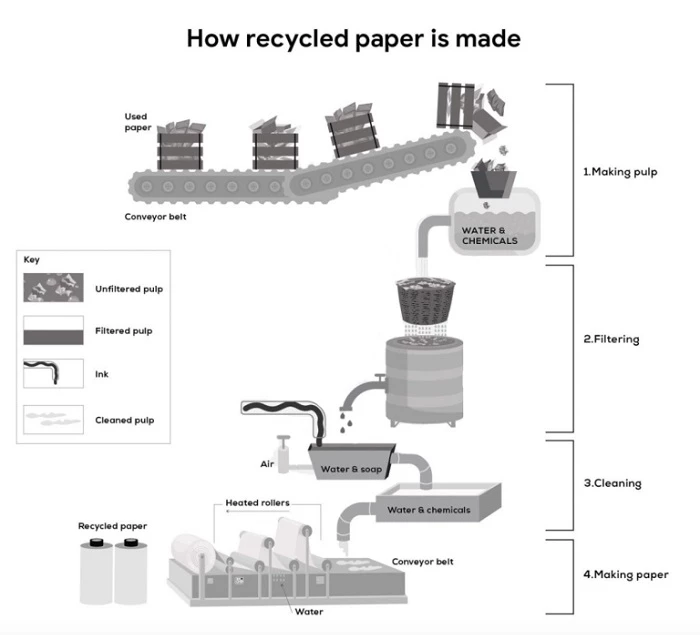 Đề bài The diagram illustrates how recycled paper is made