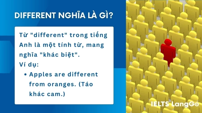 Different nghĩa là gì? Ví dụ với Different