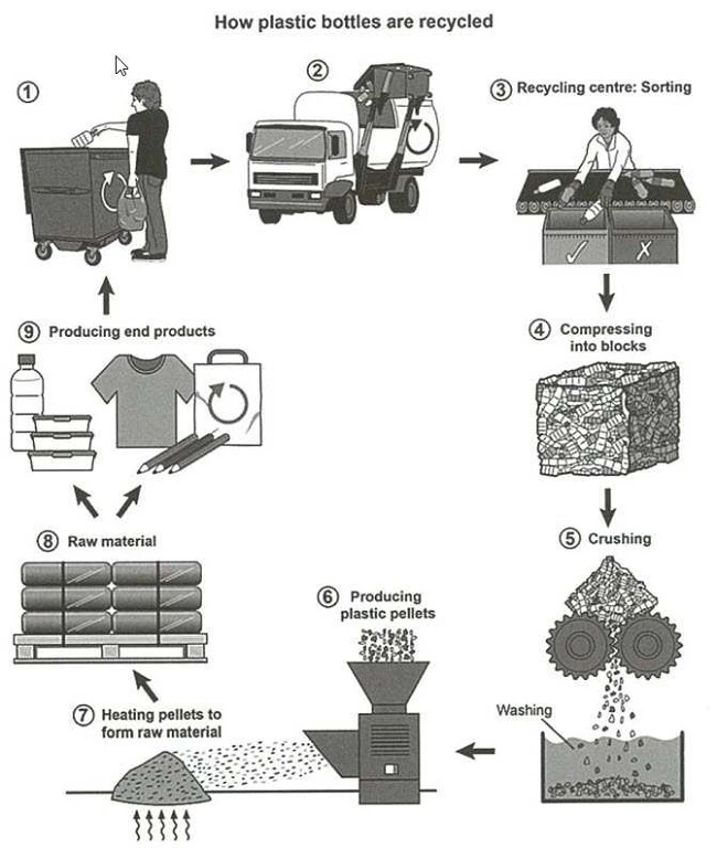 Đề bài The diagram below shows the process for recycling plastic bottles