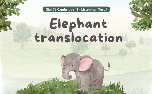 Cambridge 18 Listening Test 1 Part 4: Elephant translocation