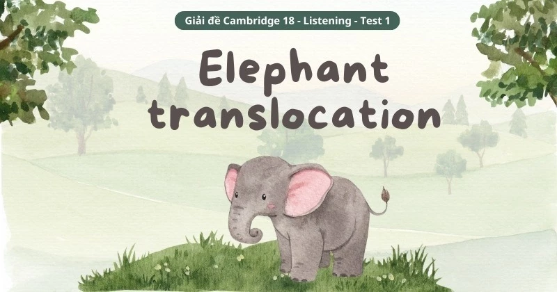 Giải Cambridge 18 - Listening - Test 1 Part 4: Elephant translocation