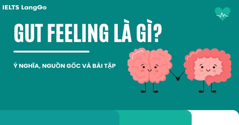 Gut feeling là gì? Nguồn gốc, cách dùng, phân biệt với Anxiety, Believe