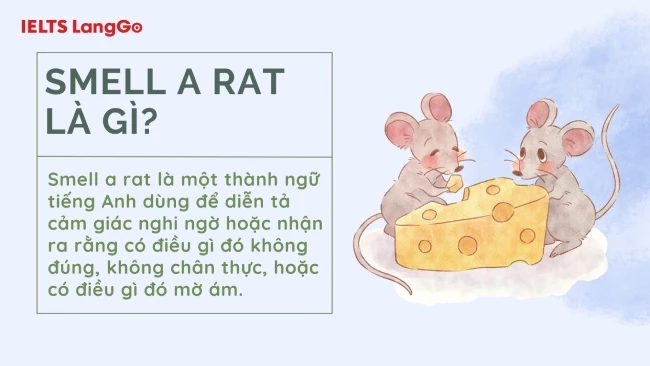 Smell a rat nghĩa là gì? Ví dụ Với To smell a rat