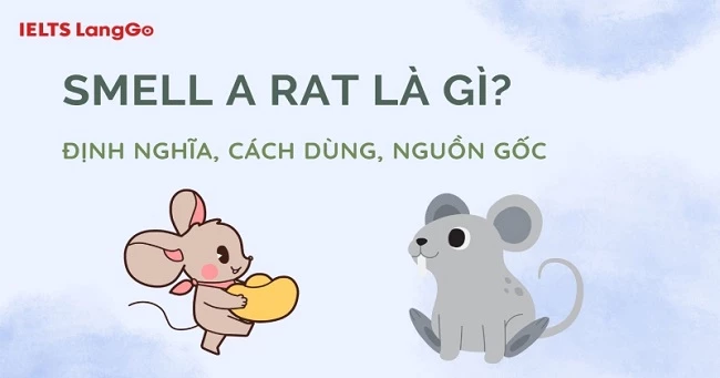 Smell a rat là gì? Nguồn gốc, cách dùng và cụm từ đồng nghĩa