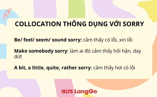 Collocation thông dụng với sorry