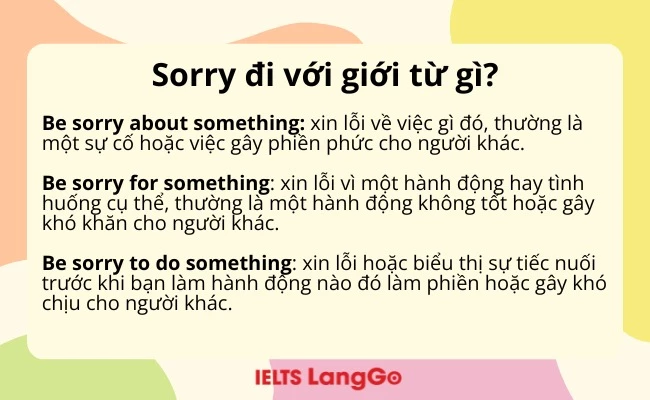 Sorry đi với giới từ gì?